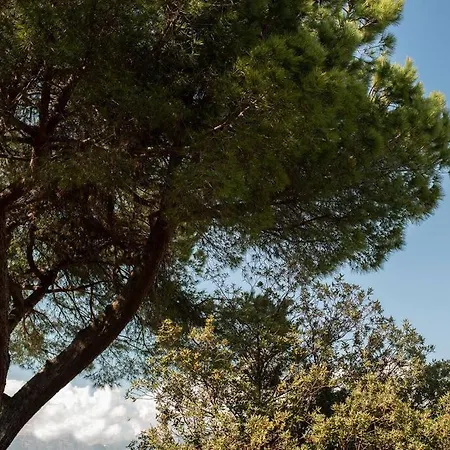 Anice, App. Lido Di Private Parking Διαμέρισμα