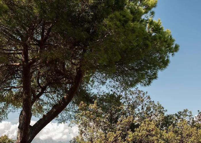 Anice, App. Lido Di Private Parking Apartment